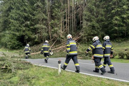 Bäume blockierten B70