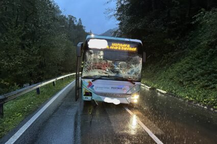 Bus gegen Baum